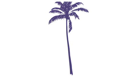 An Extended Look Banner Palm Tree Aug 6 2026