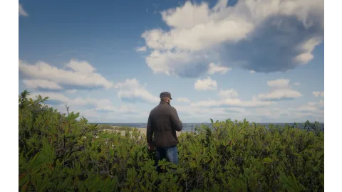 GTA VI Beach And Bushes Fake Screenshot