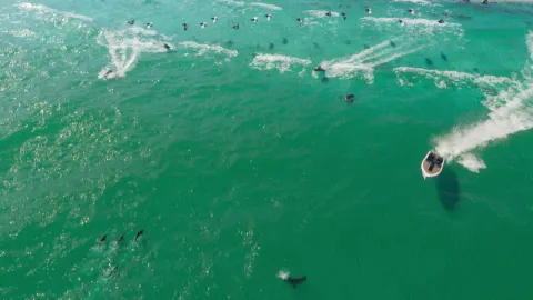 GTA VI Trailer 1 - Frame 363