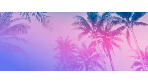 GTA 6 Radio Station Cocoteo Fm Background