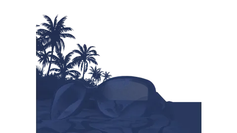 Leonida Keys Artwork Transparent