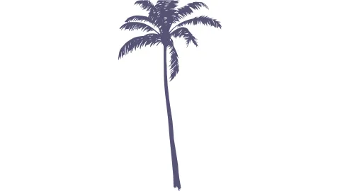 Rockstar GTA 6 Website Header Tree Artwork Extended
