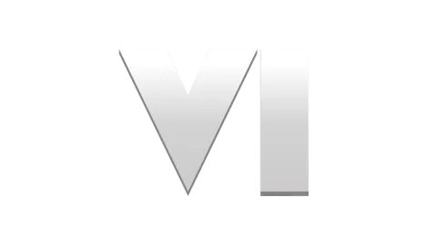 Rockstar Support Silver VI Logo