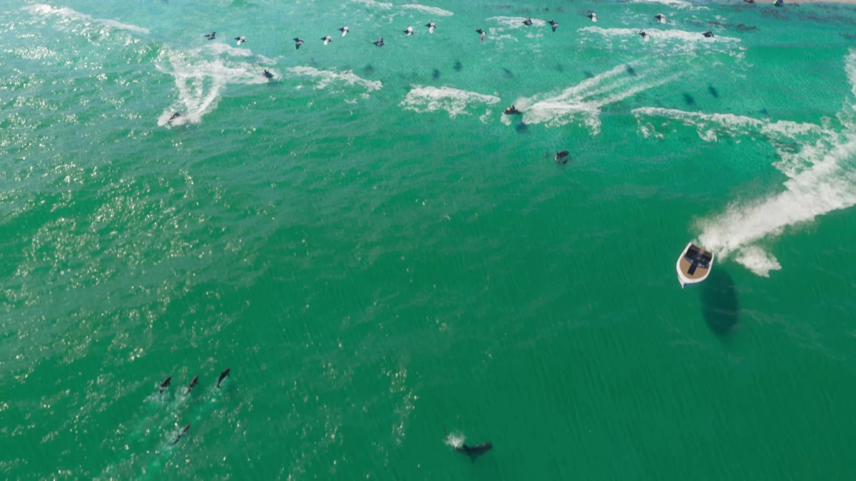 GTA VI Trailer 1 - Frame 363