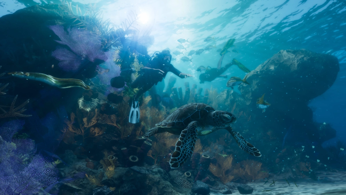Two scuba divers swimming underwater in the Leonida Keys surrounded by aquatic life including coral, fish, an eel, and a sea turtle. Two scuba divers swimming underwater in the Leonida Keys surrounded by aquatic life including coral, fish, an eel, and a sea turtle.