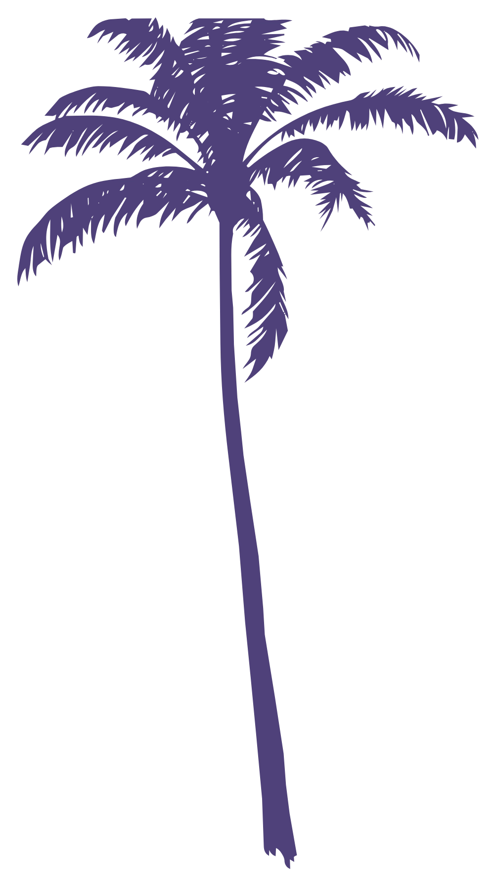 An Extended Look Banner Palm Tree Aug 6 2026