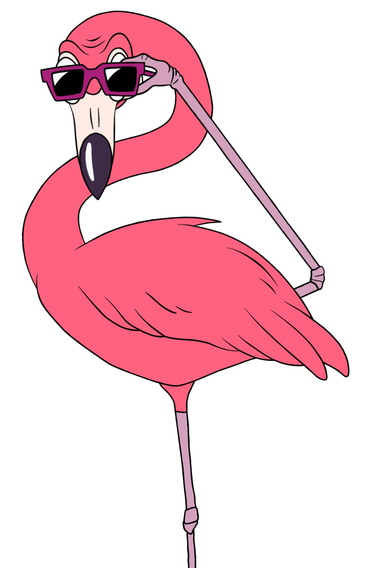 GTA VI Collectors Edition Artwork Flamingo