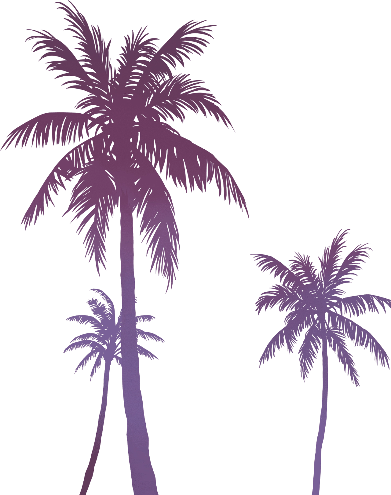 Official Site Palm Trees Artwork 2