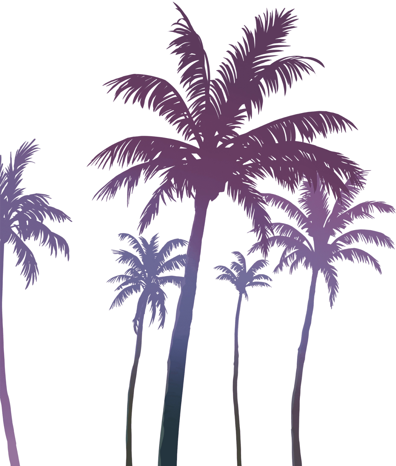 Official Site Palm Trees Artwork
