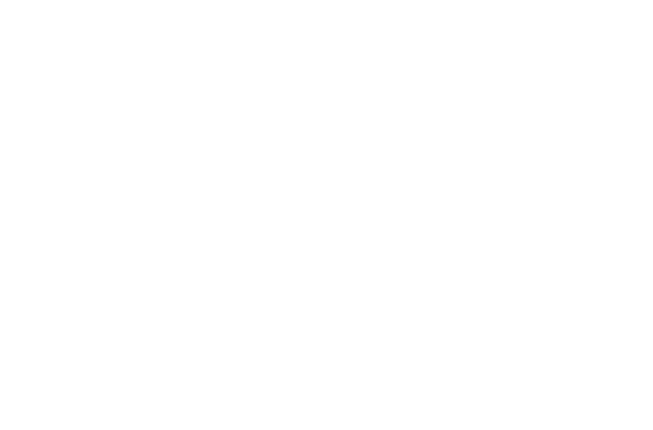 VI Logo With Palm Trees Trailer 2 (White + Transparent)