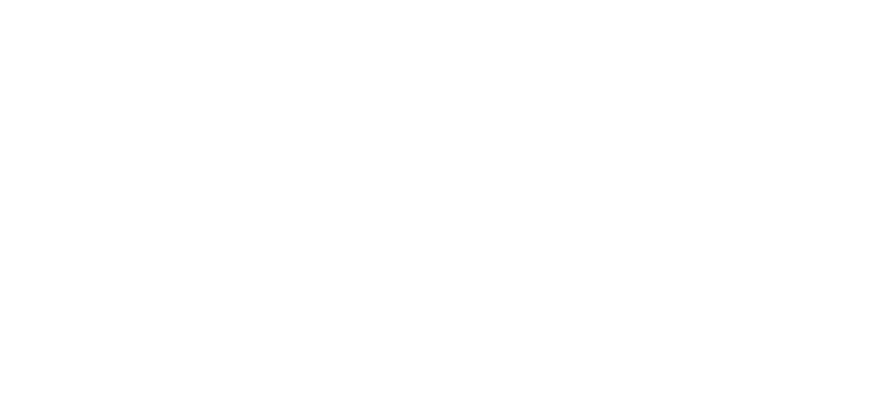 Visit Leonida Logo (White Transparent)